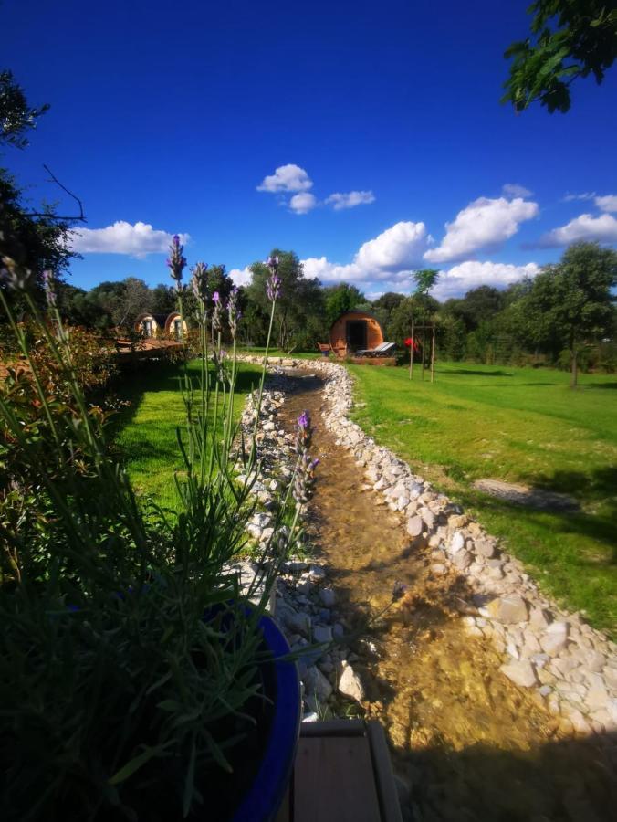Hotel Les Prés du Roi Sommières Esterno foto